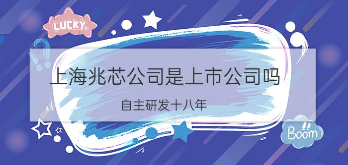 上海兆芯公司是上市公司吗 自主研发十八年，国产龙芯处理器到底如何了？